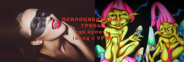 кокс Алексин