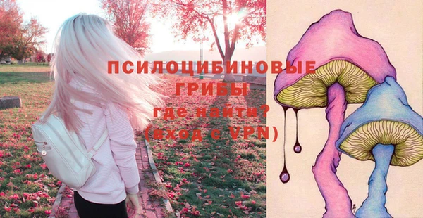 таблы Переславль-Залесский